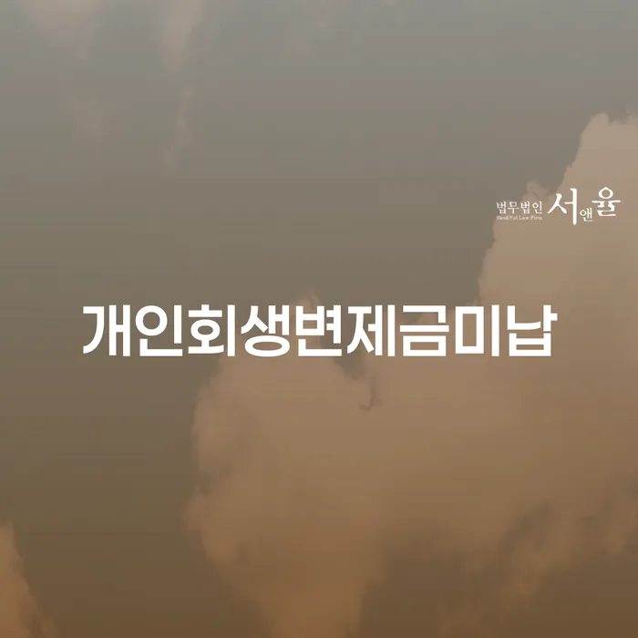 신용카드 연체 대출 연체 개인회생 직접 물어보고