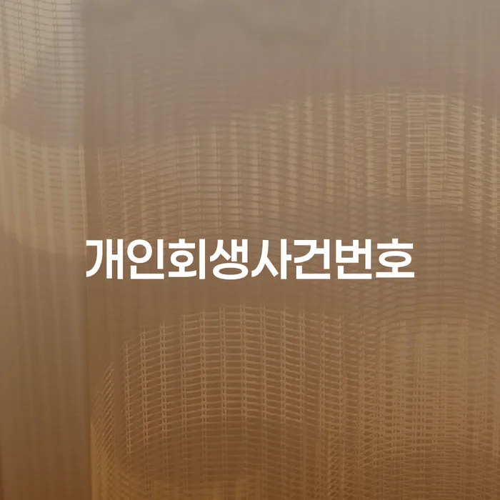 개인회생장점 연체 채무 신속해결방법 알아보는 꿀 팁!