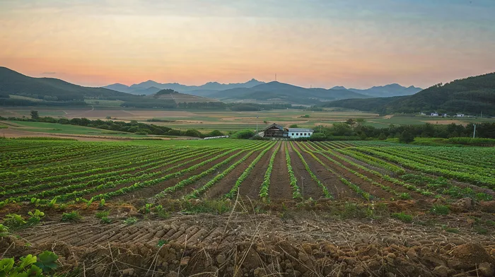 개인회생사건번호