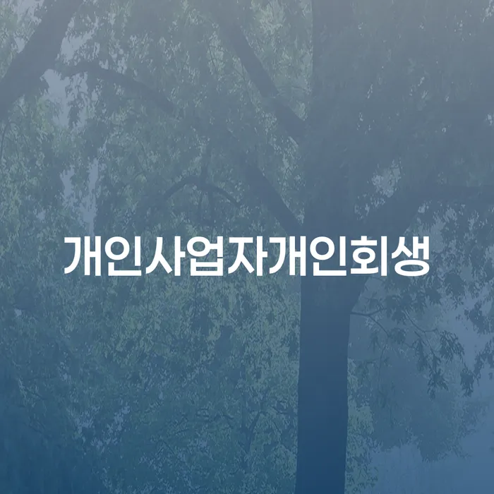 회생비용 분납가능하고 개인회생,개인파산으로 결정이나고