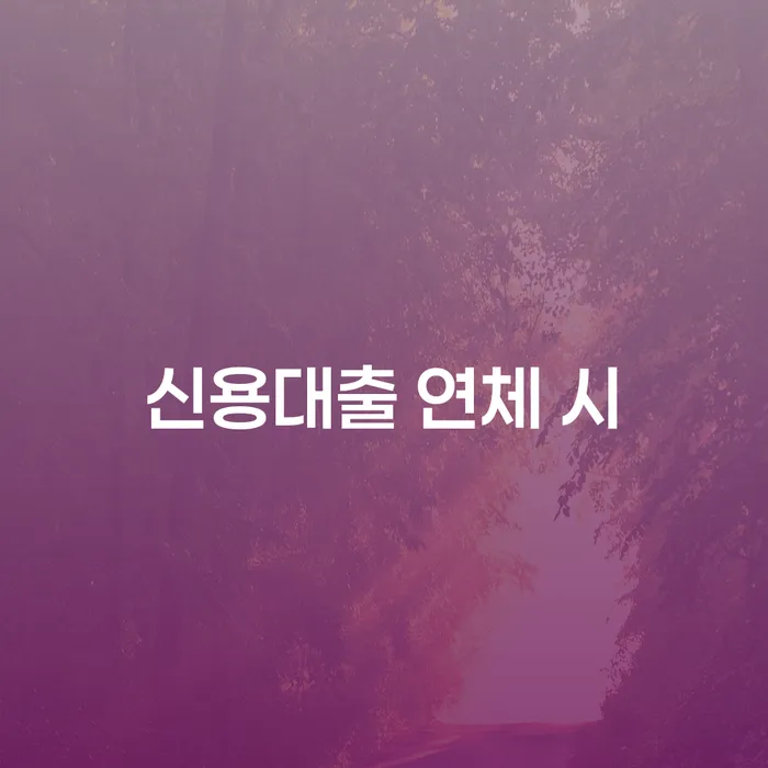 순천시 개인회생변제기간 카드빚 연체 잘 하는 사무소