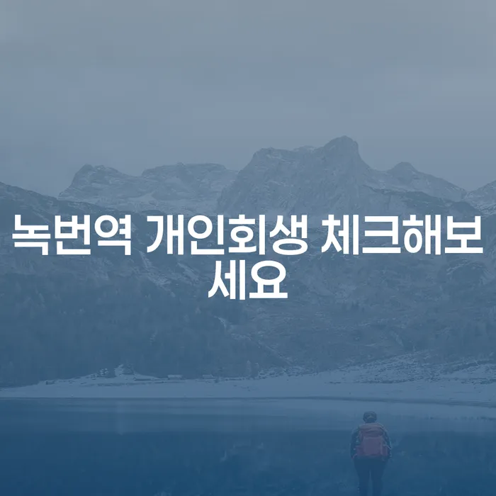 녹번역 개인회생 체크해보세요