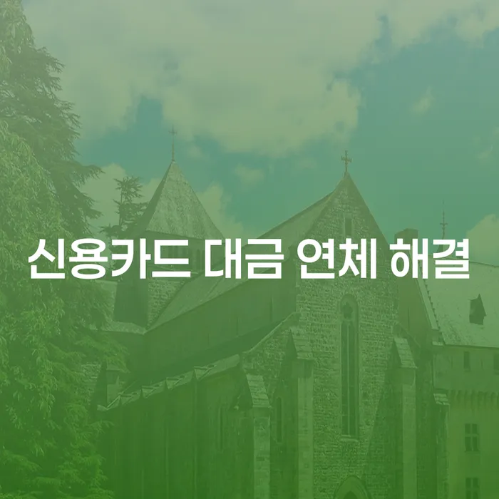 신용카드 대금 연체 해결 방법은 무엇일까요?